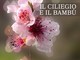Incontro con l’autore: &quot;Il ciliegio e il bambù&quot; alla biblioteca comunale di Ferrere