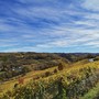 Autunno nei vigneti delle Langhe Autunno nei vigneti delle Langhe