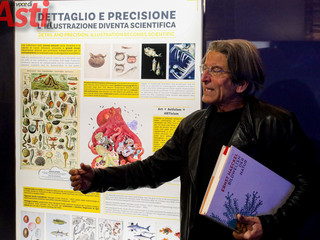 Galleria fotografica di MerfePhoto