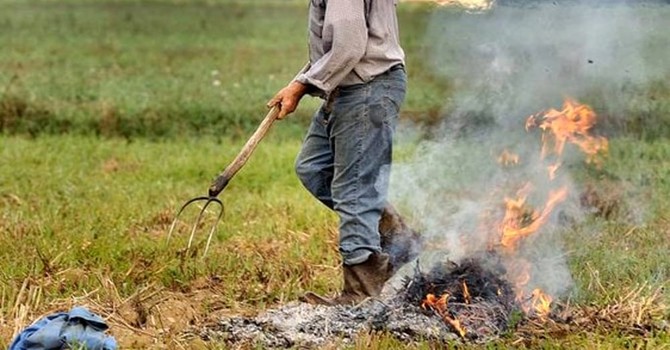 Immagine generica Immagine generica