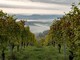 Nuovo statuto per associazione patrimonio  paesaggi vitivinicoli di Langhe-Roero e Monferrato
