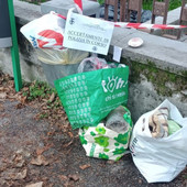 Rifiuti e decoro urbano, ad Alba oltre il 50% dei trasgressori individuati