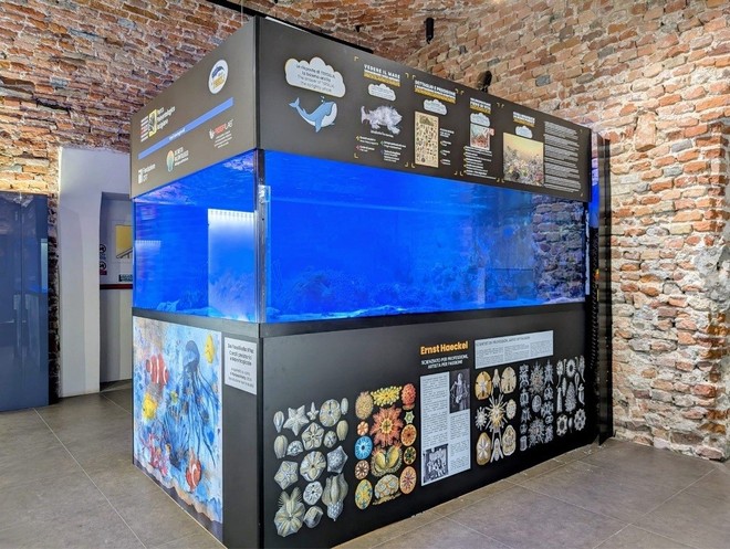 L'acquario tropicale in via di allestimento L'acquario tropicale in via di allestimento