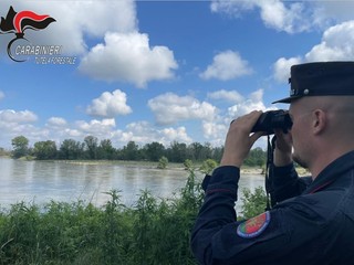 Alcune immagini inerenti attività svolte dai carabinieri forestali