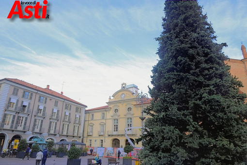 MerfePhoto MerfePhoto