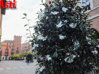 MerfePhoto MerfePhoto