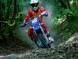 Alessio Berger