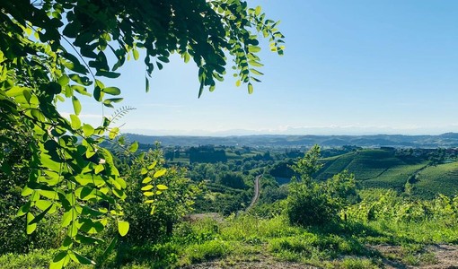 Castagnole Lanze, progetto impianto per pet food: permesso nei tempi e iter complesso, una ricostruzione smentisce i ritardi attribuiti al Comune