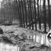 Dagli archivi del Gruppo Fotografico Albese una delle immagini simbolo della distruzione abbattutasi su Alba nella notte tra sabato 5 e domenica 6 novembre 1994: le carcasse delle auto trascinate dalla furie delle acque nei pioppeti prossimi alla tangenziale