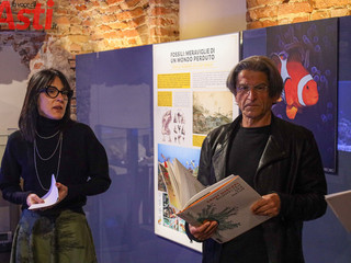 Galleria fotografica di MerfePhoto