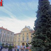 MerfePhoto MerfePhoto