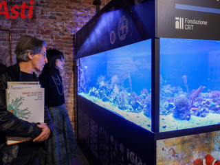 Galleria fotografica di MerfePhoto