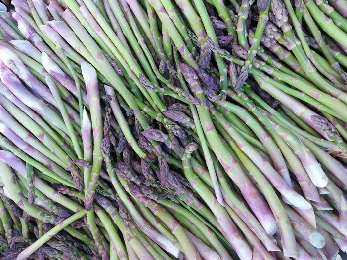 Asparagi - Azienda agricola Pomato di Incisa Scapaccino Asparagi - Azienda agricola Pomato di Incisa Scapaccino