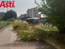 Immagini che documentano lo stato di incuria nell'area Immagini che documentano lo stato di incuria nell'area