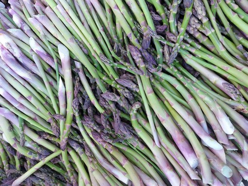 Asparagi - Azienda agricola Pomato di Incisa Scapaccino