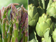 Asparagi Saraceni di Vinchio e Carciofi della Valtiglione