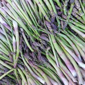 Asparagi - Azienda agricola Pomato di Incisa Scapaccino