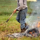 Immagine generica Immagine generica