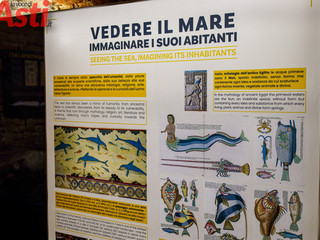 Galleria fotografica di MerfePhoto