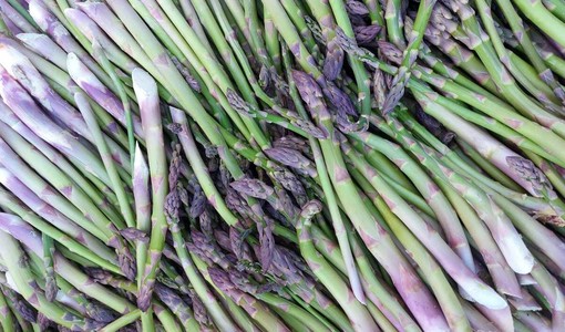 Asparagi - Azienda agricola Pomato di Incisa Scapaccino Asparagi - Azienda agricola Pomato di Incisa Scapaccino