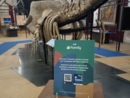 &quot;Fila a nanna&quot;: il podcast che avvicina le famiglie al Museo dei Fossili di Asti