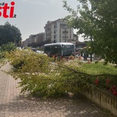 Immagini che documentano lo stato di incuria nell'area