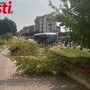 Immagini che documentano lo stato di incuria nell'area