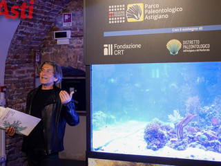 Galleria fotografica di MerfePhoto