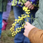 Il pomeriggio dedicato a Mariangela Cotto al Parco Fruttuoso (Gallery di MerfePhoto)