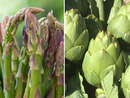 Asparagi Saraceni di Vinchio e Carciofi della Valtiglione