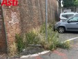 Immagini che documentano lo stato di incuria nell'area