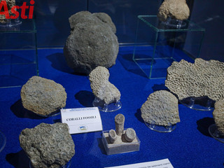 Galleria fotografica di MerfePhoto