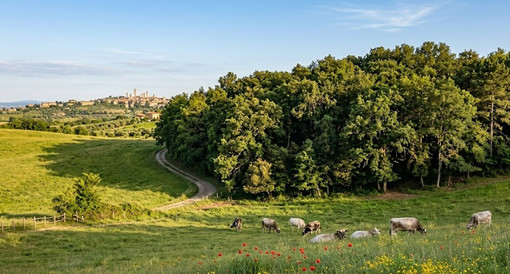 Immagine generata con il supporto dell'AI