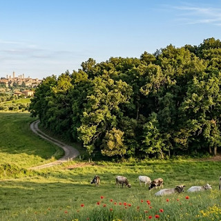 Immagine generata con il supporto dell'AI