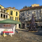 Successo solidale per Admo: la generosità della Valle Belbo e Bormida viaggia con il panettone