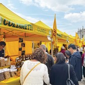 È il weekend di Bra's con i suoi tanti appuntamenti È il weekend di Bra's con i suoi tanti appuntamenti