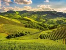 UNESCO e Turismo: Nizza e Canelli tra i centri trainanti della crescita nel Piemonte vitivinicolo