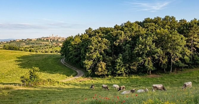 Immagine generata con il supporto dell'AI