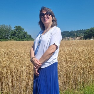 Un campo di grano alle porte di Bra