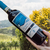 Michele Chiarlo entra nella storia: la Barbera d'Asti conquista Wine Spectator