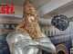 Le immagini della mostra (Ph J.DeM.A.)