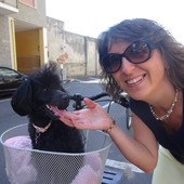 Cane che abbaia non morde… ma disturba i vicini di casa