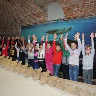Famiglie al Museo dei Fossili: novembre tra scienza, natura e avventura Famiglie al Museo dei Fossili: novembre tra scienza, natura e avventura