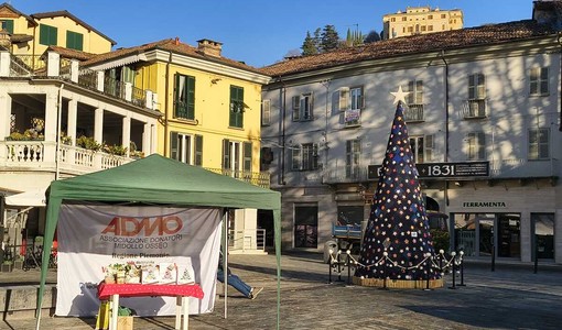 Successo solidale per Admo: la generosità della Valle Belbo e Bormida viaggia con il panettone