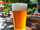 Sostegno a due birrifici astigiani  (Nizza e Canelli) e alla birra artigianale piemontese