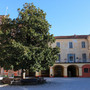 Bra: al via il progetto partecipato per il cortile della “Montalcini”