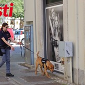 Galleria fotografica MerfePhoto