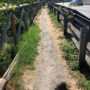 La buca presente sul percorso pedonale lungo strada Orti