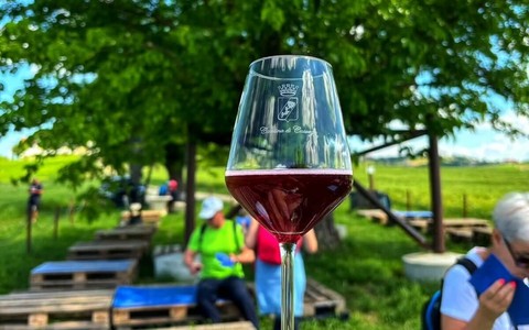 Wine trekking a Casorzo: natura e sapori lungo il sentiero del Malvasia