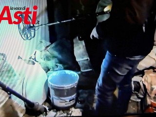 Galleria fotografica a cura di Merfephoto - Efrem Zanchettin Galleria fotografica a cura di Merfephoto - Efrem Zanchettin